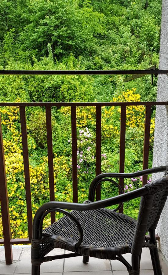 Apartament Miedzygorze